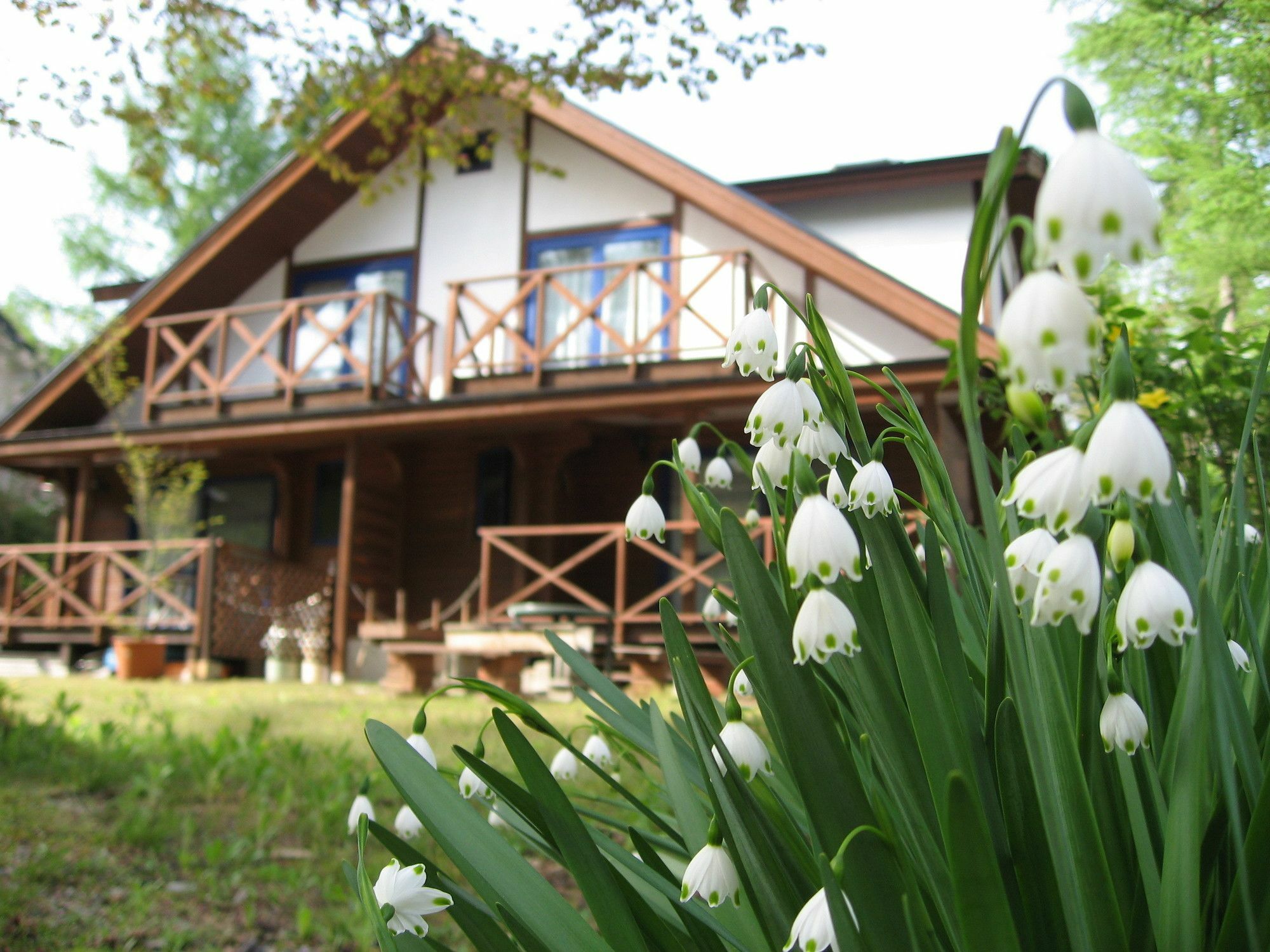 Hakuba Megeve Villa Exterior photo